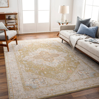 Surya Avant Garde AVT-2363 Taupe Area Rug Room Scene Feature