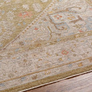 Surya Avant Garde AVT-2363 Taupe Area Rug Detail