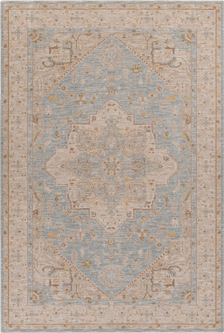 Surya Avant Garde AVT-2365 Taupe Area Rug main image