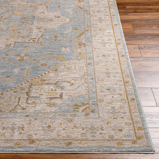 Surya Avant Garde AVT-2365 Taupe Area Rug 