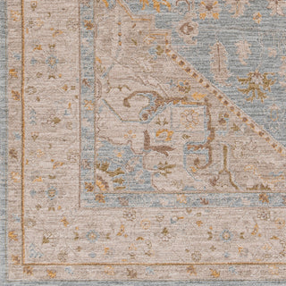 Surya Avant Garde AVT-2365 Taupe Area Rug Swatch