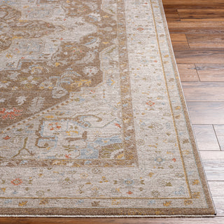 Surya Avant Garde AVT-2366 Taupe Area Rug 