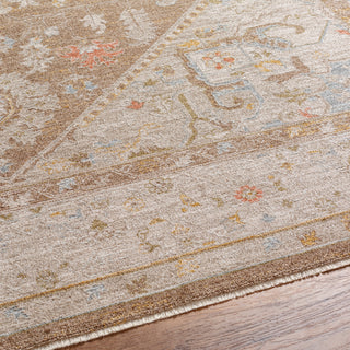 Surya Avant Garde AVT-2366 Taupe Area Rug Detail