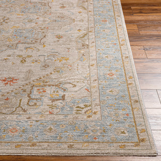 Surya Avant Garde AVT-2367 Taupe Area Rug 