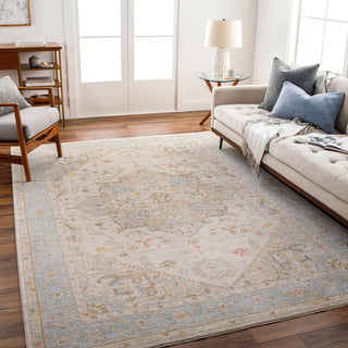 Surya Avant Garde AVT-2367 Taupe Area Rug Room Scene Feature