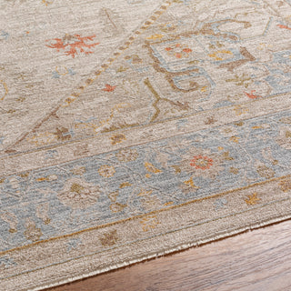 Surya Avant Garde AVT-2367 Taupe Area Rug Detail