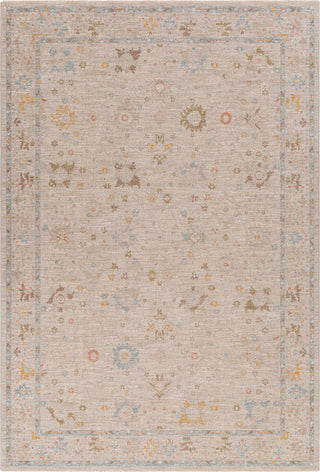 Surya Avant Garde AVT-2368 Taupe Area Rug main image