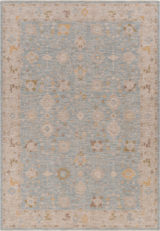 Surya Avant Garde AVT-2369 Taupe Area Rug main image