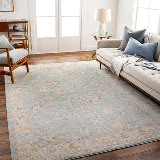 Surya Avant Garde AVT-2369 Taupe Area Rug Room Scene Feature