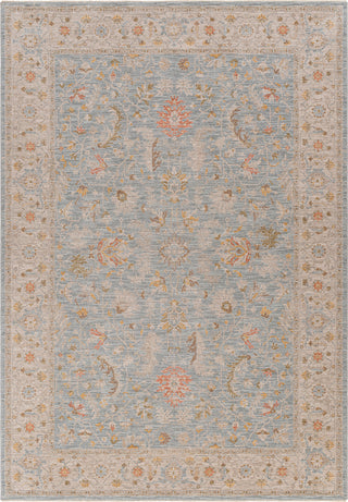 Surya Avant Garde AVT-2371 Taupe Area Rug main image