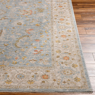 Surya Avant Garde AVT-2371 Taupe Area Rug 