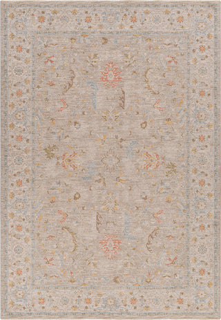 Surya Avant Garde AVT-2373 Taupe Area Rug main image