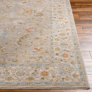 Surya Avant Garde AVT-2373 Taupe Area Rug 