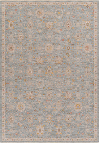 Surya Avant Garde AVT-2375 Taupe Area Rug main image