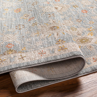 Surya Avant Garde AVT-2375 Taupe Area Rug 