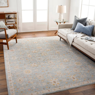 Surya Avant Garde AVT-2375 Taupe Area Rug Room Scene Feature