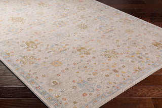 Surya Avant Garde AVT-2377 Taupe Area Rug Corner Shot