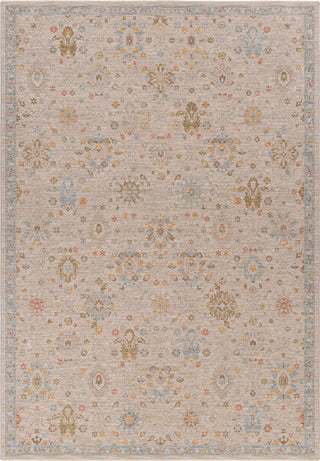 Surya Avant Garde AVT-2377 Taupe Area Rug main image