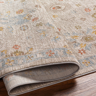 Surya Avant Garde AVT-2377 Taupe Area Rug 