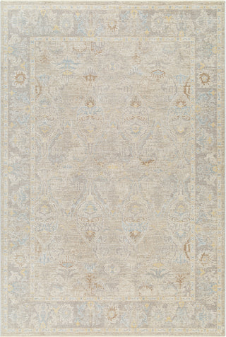 Surya Avant Garde AVT-2378 Area Rug main image