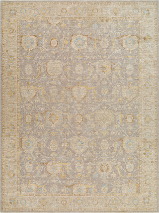 Surya Avant Garde AVT-2380 Area Rug Main