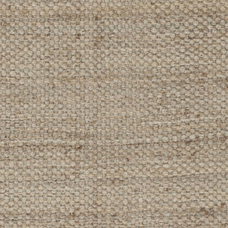 Artistic Weavers Tropica Harper AWAP5003 Area Rug Swatch