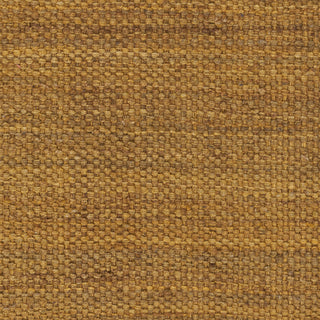 Artistic Weavers Tropica Harper AWAP5006 Area Rug Swatch