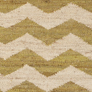 Artistic Weavers Portico Sadie Light Green/Beige Area Rug Swatch