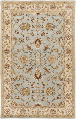 Artistic Weavers Middleton Charlotte Light Blue/Chocolate Brown Area Rug main image