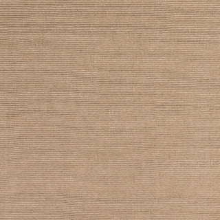 Artistic Weavers Hawaii Jane Tan Area Rug Swatch