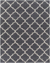 Artistic Weavers Holden Finley Charcoal/Ivory Area Rug Main