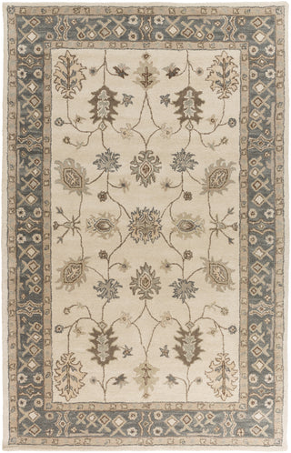 Artistic Weavers Middleton Willow AWHR2050 Area Rug main image