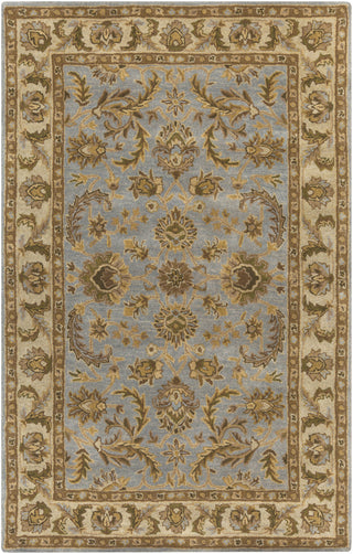 Artistic Weavers Middleton Virginia Light Blue/Tan Area Rug main image