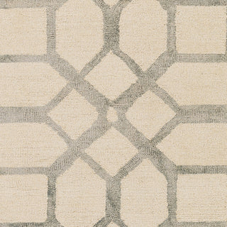 Artistic Weavers Organic Brittany Light Gray/Ivory Area Rug Swatch