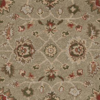 Artistic Weavers Origin Abigail Taupe/Crimson Red Area Rug Swatch