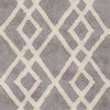 Artistic Weavers Silk Valley Lila Gray/Ivory Area Rug Swatch