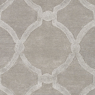 Artistic Weavers Urban Lainey Light Gray Area Rug Swatch