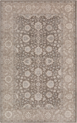 Surya Ayasofya AYA-3401 Taupe Cream Charcoal Dark Brown Area Rug main image