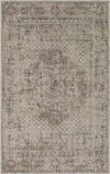 Surya Ayasofya AYA-3403 Cream Taupe Charcoal Light Gray Area Rug main image