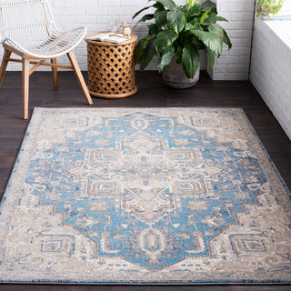 Surya Ayasofya AYA-3408 Area Rug Room Image Feature