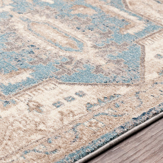 Surya Ayasofya AYA-3408 Area Rug Texture Image