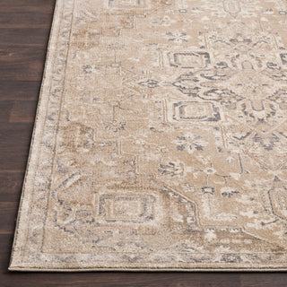 Surya Ayasofya AYA-3409 Camel Charcoal Cream Medium Gray Dark Brown Area Rug Detail Image