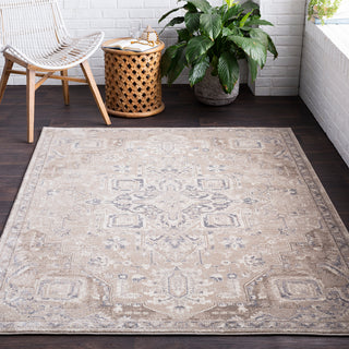 Surya Ayasofya AYA-3409 Area Rug Room Image Feature