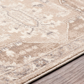 Surya Ayasofya AYA-3409 Camel Charcoal Cream Medium Gray Dark Brown Area Rug Texture Image