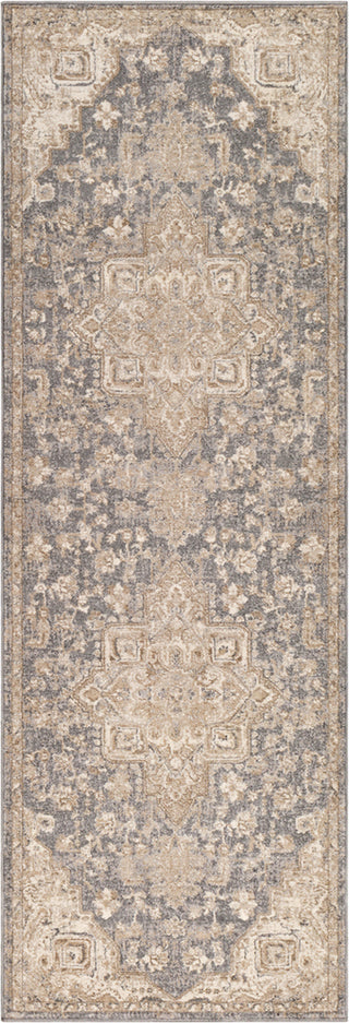 Surya Ayasofya AYA-3410 Area Rug Runner Image