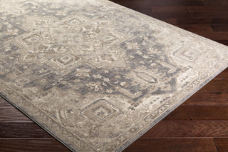 Surya Ayasofya AYA-3410 Area Rug