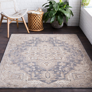 Surya Ayasofya AYA-3410 Area Rug Room Image Feature