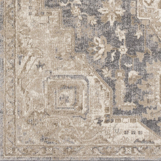 Surya Ayasofya AYA-3410 Area Rug