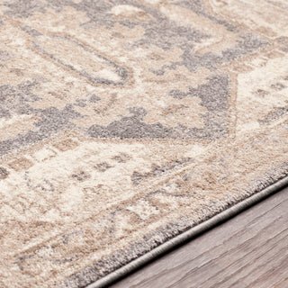 Surya Ayasofya AYA-3410 Area Rug Texture Image