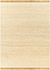 Surya Aylin AYI-2300 Area Rug main image